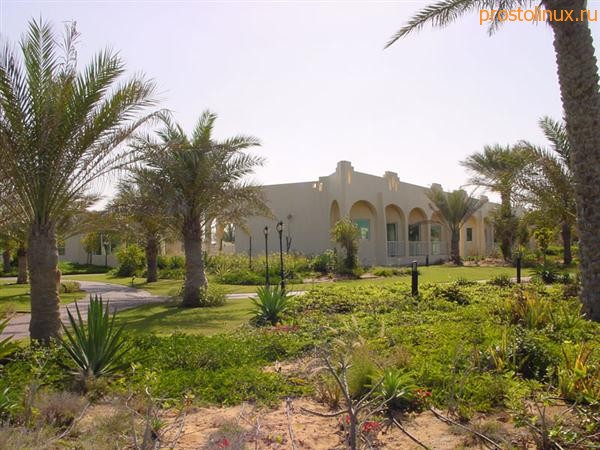 Туры в эмират Умм-эль-Кувейн